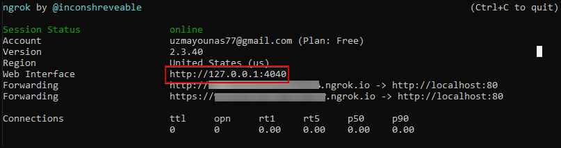 ngrok URLs Directing to Local Server