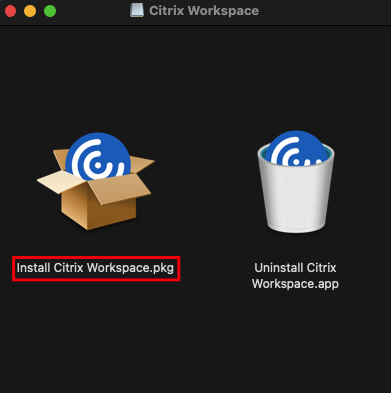 Displaying the Citrix Workspace installation file